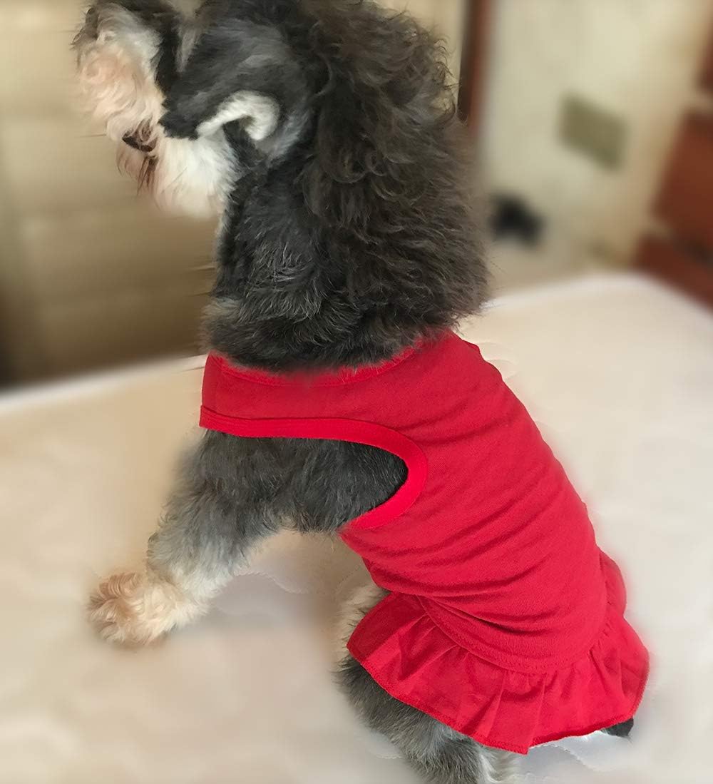Tee Dresses