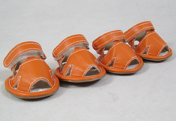 Dog Blank Sandal Dog Blank Sandal