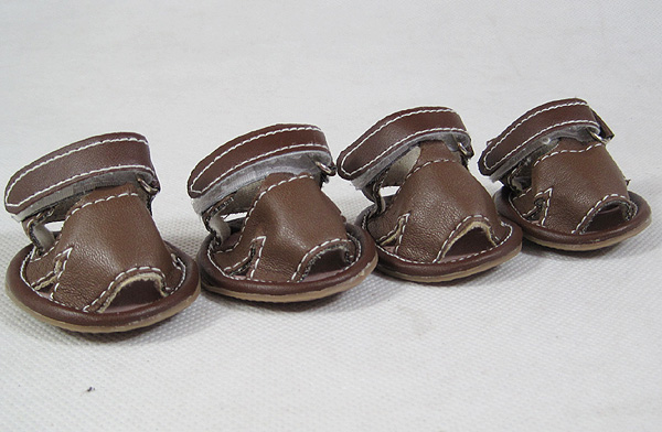 Dog Blank Sandal Dog Blank Sandal