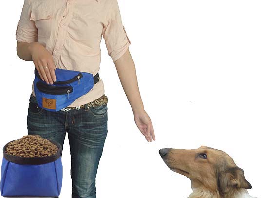 Dog Treat & Training Bag sapphire blue