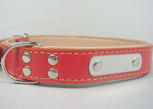 Red Leather Dog Collar