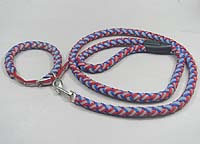 Dog fluorescence Collar leash set-blue&red