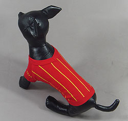 Foot ball costume SPAIN