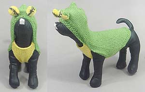 Frog Sweater hoodie
