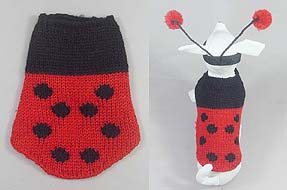 hexapod-beetle Manteau