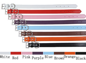 Sliding Ornament related collar