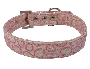 Shining Leather Collar