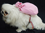 Small Dog's carrier bag