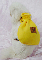 Small Dog's carries bag