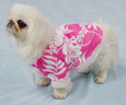 Princess Pinky Dress