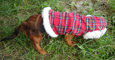 Christmas hood Coat