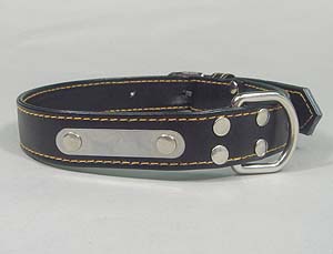 Black Leather light Dog Collar