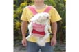 Pet travel Front Carrier bag