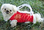 W. Fur Red Silk Dog Carrier