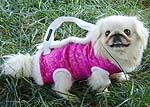 W. Fur Magenta Silk Dog Carrier