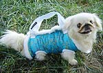 W. Fur Turquoise Silk Dog Carrier