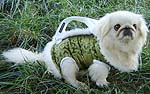 W. Fur Olive Silk Dog Carrier