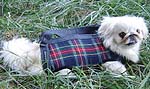 Navy Plaid Dog Carrier